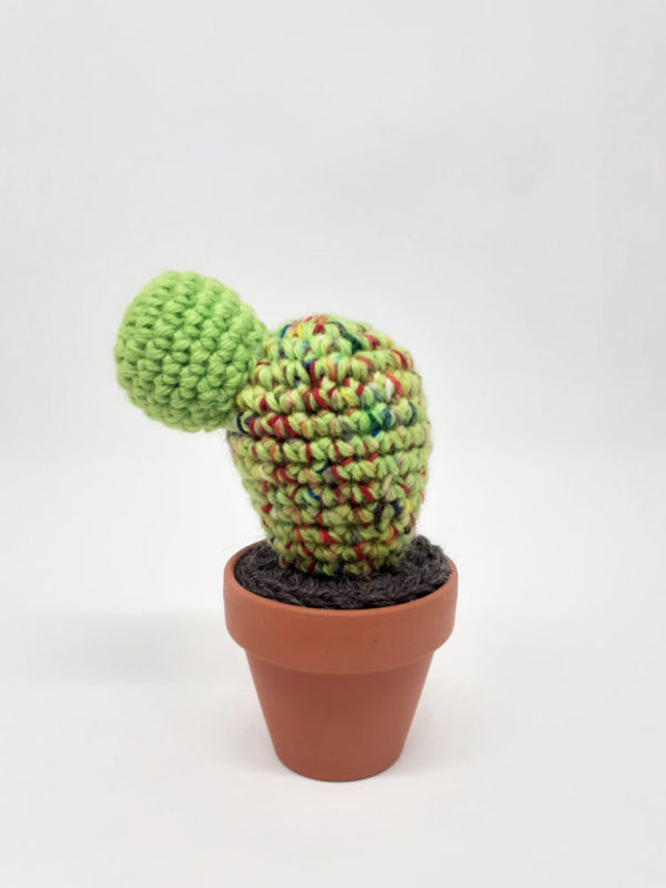 alchimies-lyon-click-and-collect-cadeaux-noel-artisanat-createurs-boutique-cactus-crochet-knit-laine-tricot