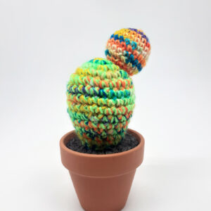 alchimies-lyon-click-and-collect-cadeaux-noel-artisanat-createurs-boutique-cactus-crochet-knit-laine-tricot