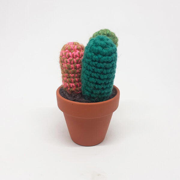 alchimies-lyon-click-and-collect-cadeaux-noel-artisanat-createurs-boutique-cactus-crochet-knit-laine-tricot