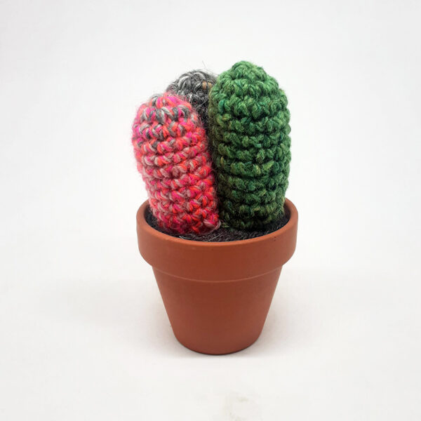 alchimies-lyon-click-and-collect-cadeaux-noel-artisanat-createurs-boutique-cactus-crochet-knit-laine-tricot