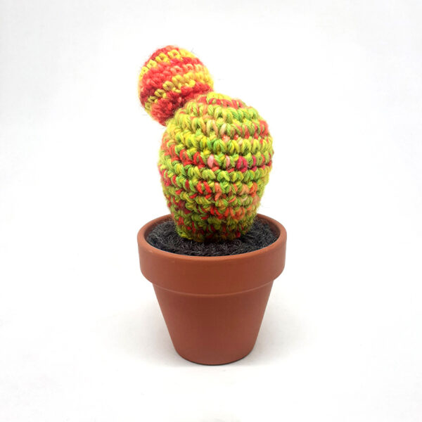 alchimies-lyon-click-and-collect-cadeaux-noel-artisanat-createurs-boutique-cactus-crochet-knit-laine-tricot