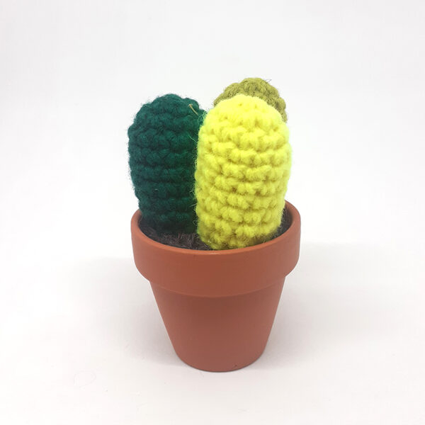 alchimies-lyon-click-and-collect-cadeaux-noel-artisanat-createurs-boutique-cactus-crochet-knit-laine-tricot
