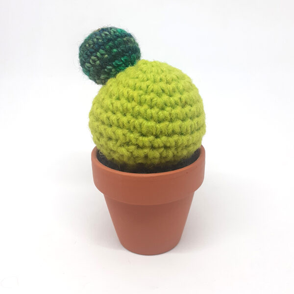 alchimies-lyon-click-and-collect-cadeaux-noel-artisanat-createurs-boutique-cactus-crochet-knit-laine-tricot