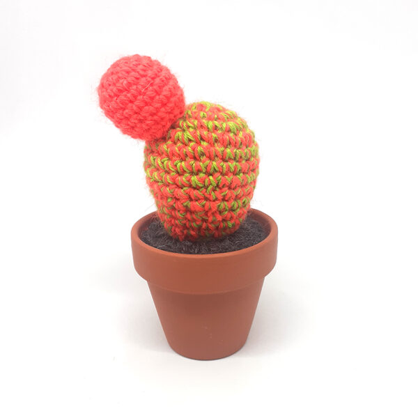 alchimies-lyon-click-and-collect-cadeaux-noel-artisanat-createurs-boutique-cactus-crochet-knit-laine-tricot