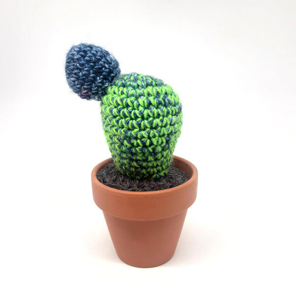 alchimies-lyon-click-and-collect-cadeaux-noel-artisanat-createurs-boutique-cactus-crochet-knit-laine-tricot