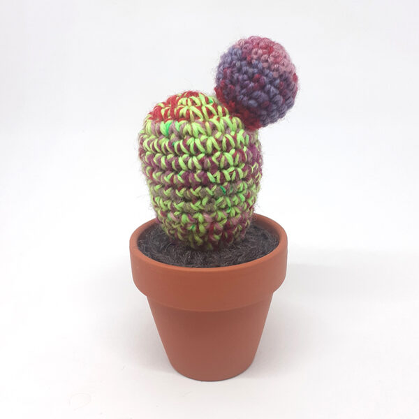 alchimies-lyon-click-and-collect-cadeaux-noel-artisanat-createurs-boutique-cactus-crochet-knit-laine-tricot