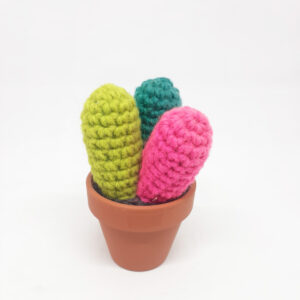 alchimies lyon click and collect cadeaux noel artisanat createurs boutique cactus crochet knit laine tricot