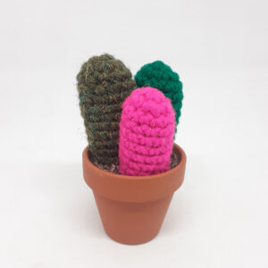 alchimies lyon click and collect cadeaux noel artisanat createurs boutique cactus crochet knit laine tricot