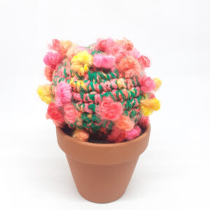 alchimies lyon click and collect cadeaux noel artisanat createurs boutique cactus crochet knit laine tricot