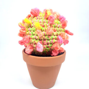 alchimies lyon click and collect cadeaux noel artisanat createurs boutique cactus crochet knit laine tricot