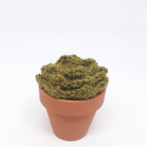 alchimies lyon click and collect cadeaux noel artisanat createurs boutique cactus crochet knit laine tricot