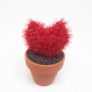 alchimies lyon click and collect cadeaux noel artisanat createurs boutique cactus crochet knit laine tricot