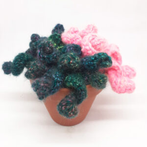 alchimies lyon click and collect cadeaux noel artisanat createurs boutique cactus crochet knit laine tricot