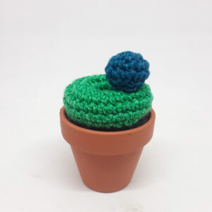 alchimies lyon click and collect cadeaux noel artisanat createurs boutique cactus crochet knit laine tricot