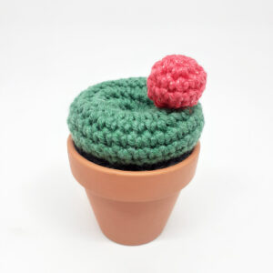 alchimies lyon click and collect cadeaux noel artisanat createurs boutique cactus crochet knit laine tricot