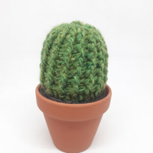 alchimies lyon click and collect cadeaux noel artisanat createurs boutique cactus crochet knit laine tricot