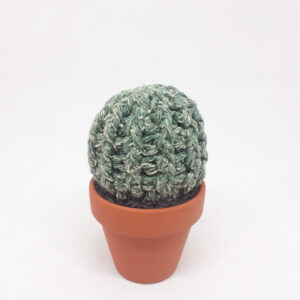 alchimies lyon click and collect cadeaux noel artisanat createurs boutique cactus crochet knit laine tricot