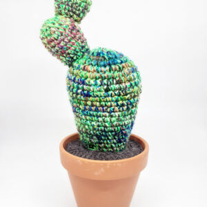 alchimies lyon click and collect cadeaux noel artisanat createurs boutique cactus crochet knit laine tricot