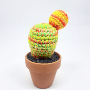 alchimies lyon click and collect cadeaux noel artisanat createurs boutique cactus crochet knit laine tricot
