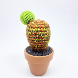 alchimies lyon click and collect cadeaux noel artisanat createurs boutique cactus crochet knit laine tricot