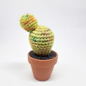 alchimies lyon click and collect cadeaux noel artisanat createurs boutique cactus crochet knit laine tricot
