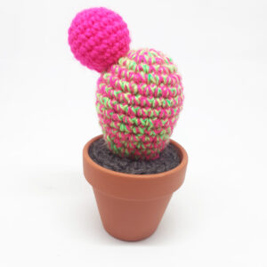 alchimies lyon click and collect cadeaux noel artisanat createurs boutique cactus crochet knit laine tricot