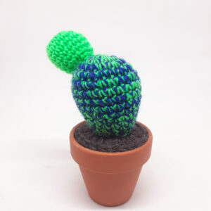 alchimies lyon click and collect cadeaux noel artisanat createurs boutique cactus crochet knit laine tricot