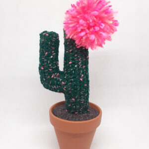 alchimies lyon click and collect cadeaux noel artisanat createurs boutique cactus crochet knit laine tricot